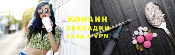 прущие грибы Абаза