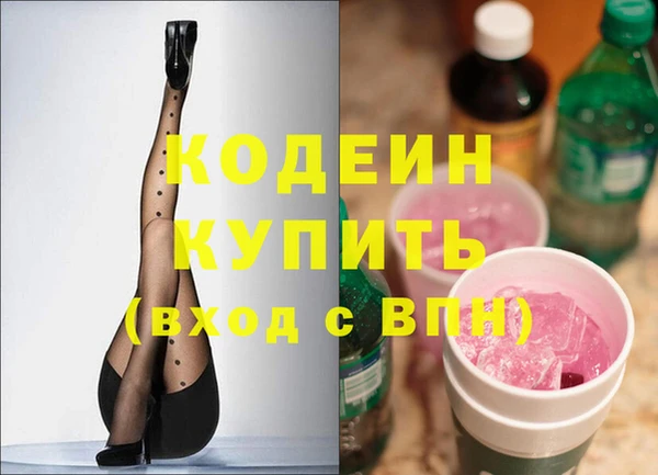 прущие грибы Абаза