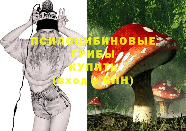 эйфоретик Абинск