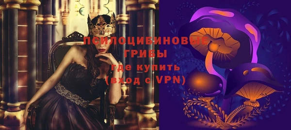 прущие грибы Абаза